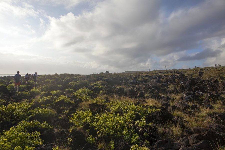 volcanic wilderness