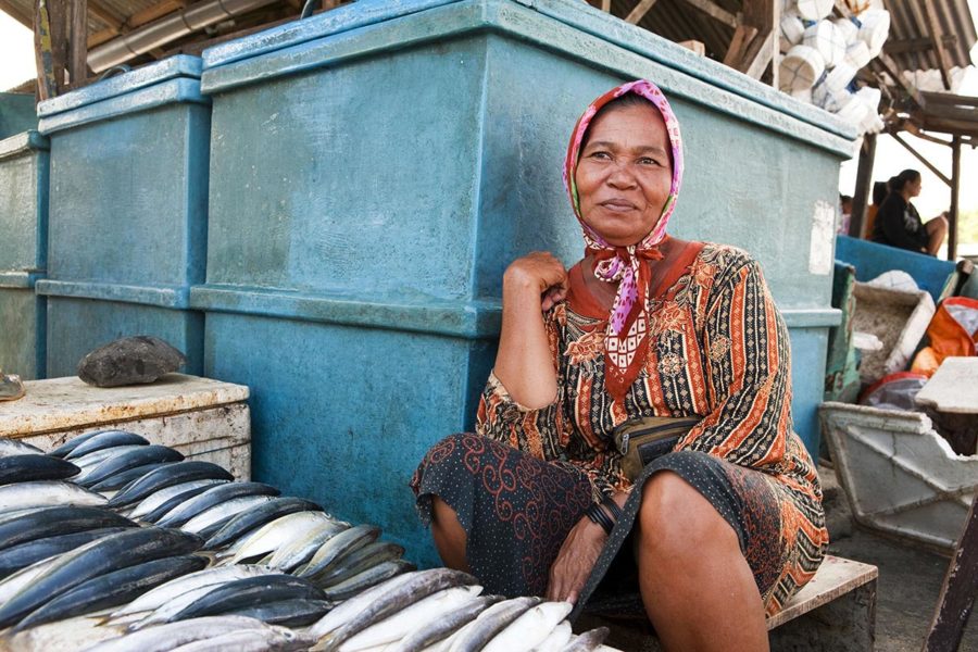 fresh fish