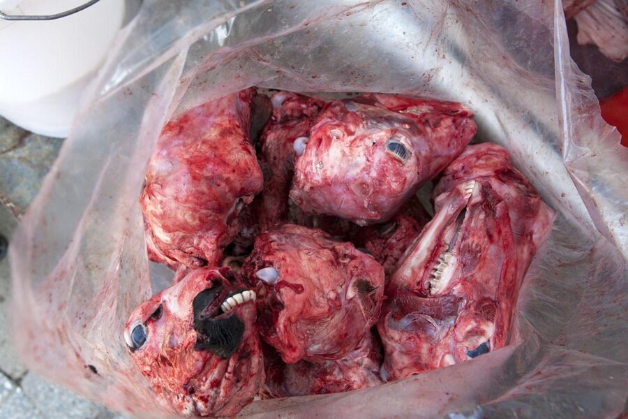 Snack in a Bag