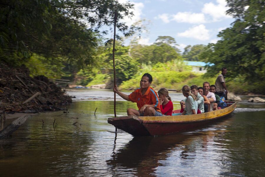 No roads in the jungle