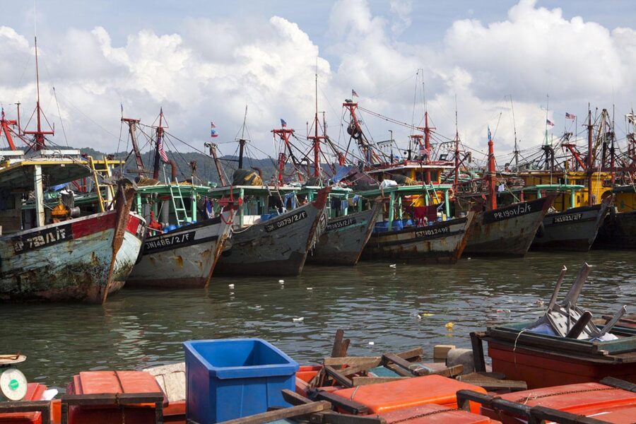 fishing fleet
