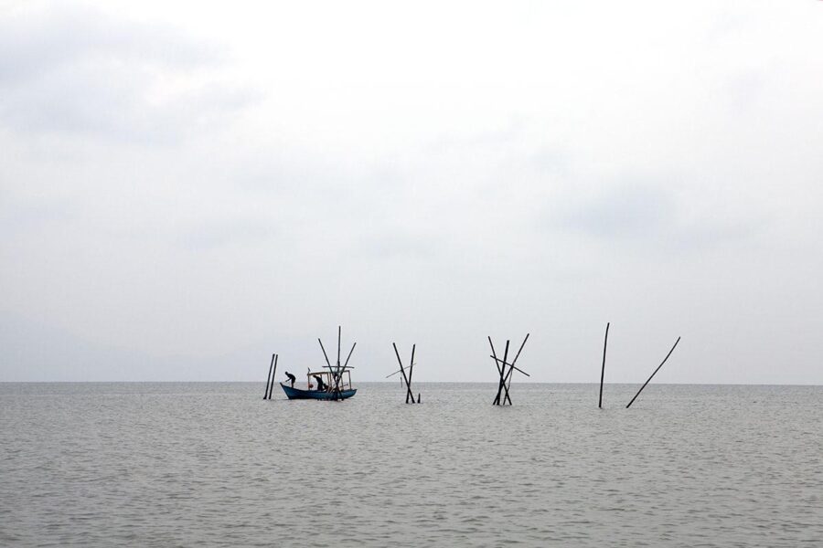 Checking the nets